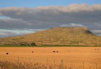 La ley de tierras vuelve al Senado y el Gobierno busca llegar al 6 de agosto sin otra derrota