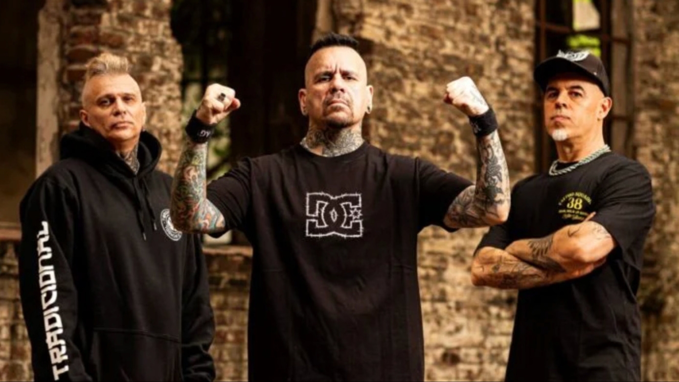 Animal en su regreso a San Juan