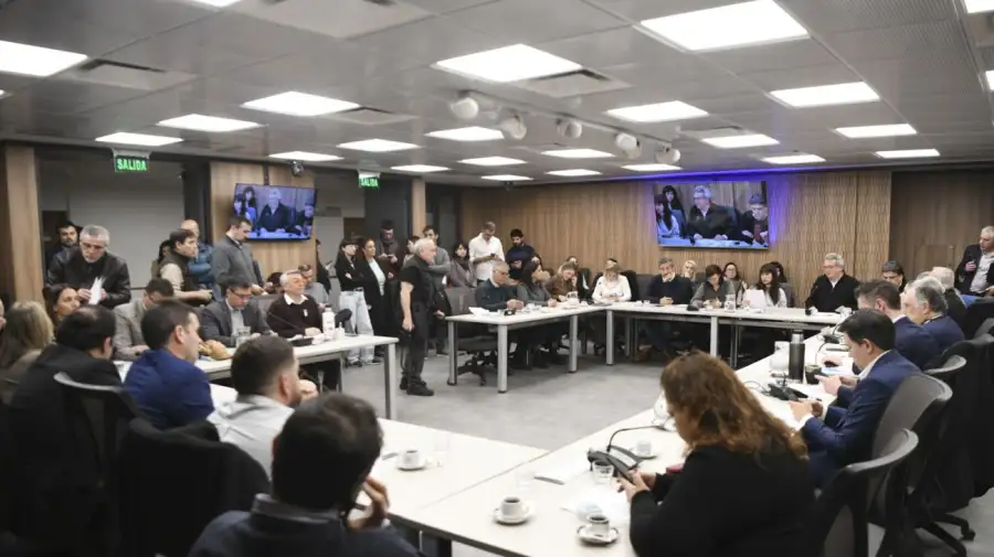 Diputados arma una diplomacia parlamentaria para enfriar el conflicto con Brasil y discutir el Mercosur-UE