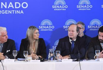 El Senado vuelve a poner el Súper RIGI bajo la lupa y Guberman va a defenderlo