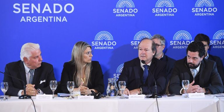 El Senado vuelve a poner el Súper RIGI bajo la lupa y Guberman va a defenderlo