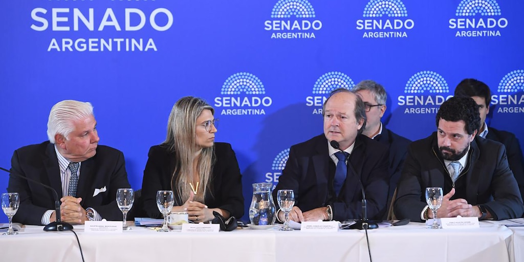 El Senado vuelve a poner el Súper RIGI bajo la lupa y Guberman va a defenderlo