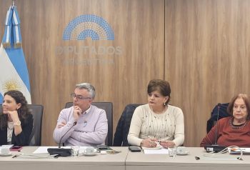 La oposición busca abrir en Diputados el debate por el endeudamiento de las familias