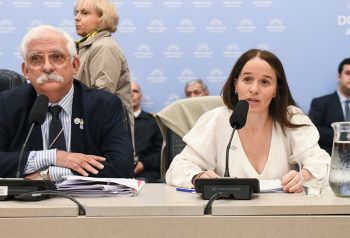 Ley Malvinas: el Gobierno ofrece una bicameral pero resiste partir el proyecto