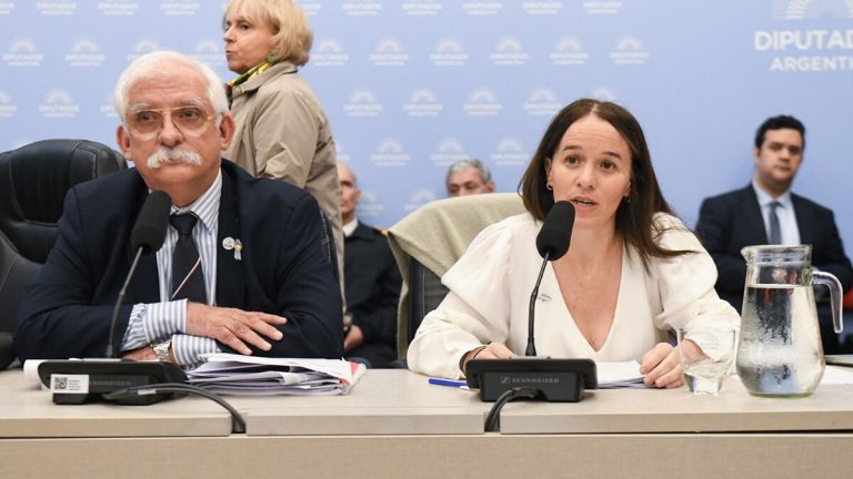 Ley Malvinas: el Gobierno ofrece una bicameral pero resiste partir el proyecto