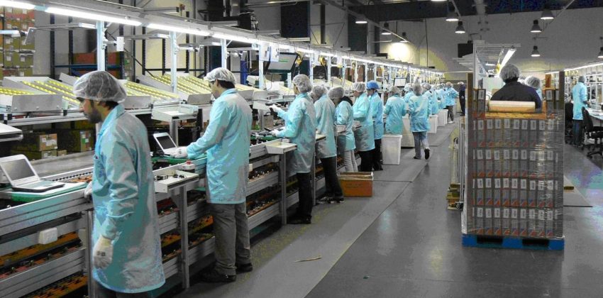 La producción mejora en la conversación pública, pero el pesimismo todavía condiciona al Gobierno
