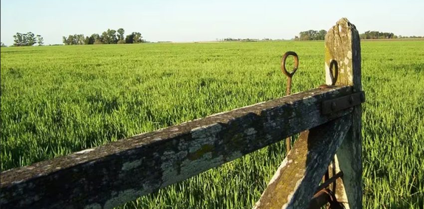 Ley de Tierras “light”: el oficialismo apura un dictamen para desactivar la presión opositora